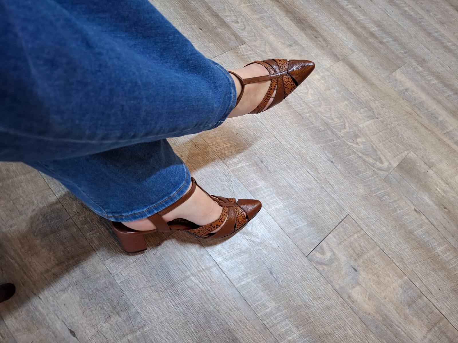 Calzado Ejecutivo Chocolate 150